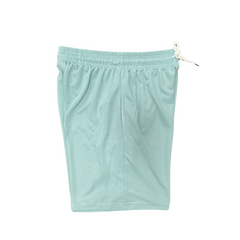 Jordan Light Blue Shorts