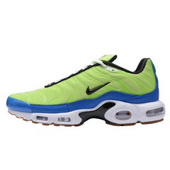 Nike Air Max Plus TN Frank Rudy Casual Shoes