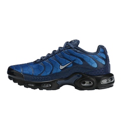 Nike Air Max Plus TN Blue Hex Casual Shoes