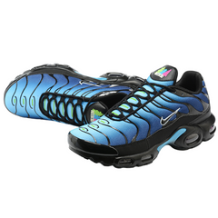 Nike Air Max Plus TN Stargazing Casual Shoes
